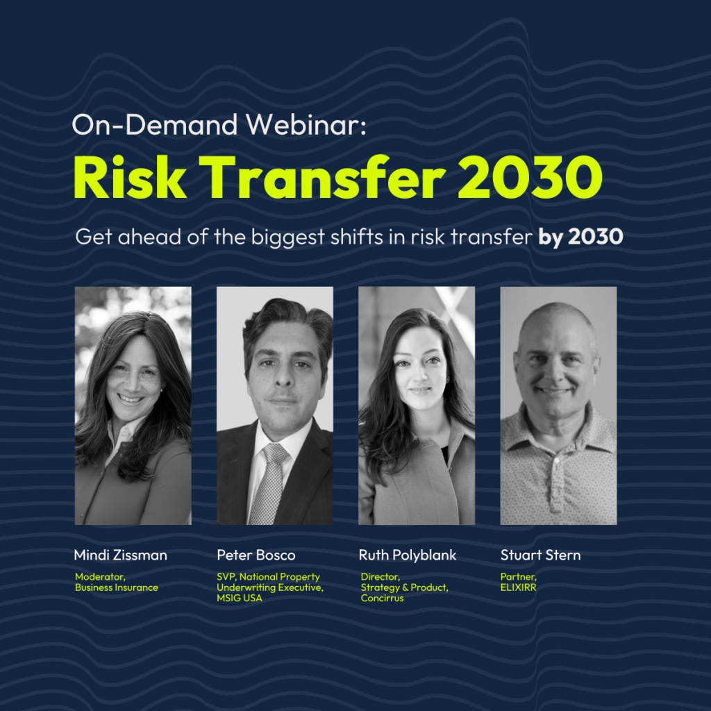 WEBINAR-Risk2030